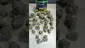 Video Thumbnail: Doc Green Bud