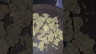 Headstones Black Mountain Side UK Medical Flower First Impressions