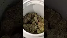 PrescribedBouquet Video Thumbnail