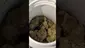 Video Thumbnail: PrescribedBouquet
