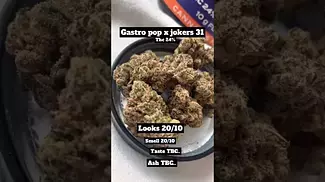 Unique but not amazing. Gastro pop x jokers 31. (Someone less fussy would love this strain)