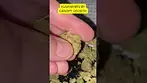 UK MEDICAL | KUSH MINTS T28% | CANOPY GROWTH #420community #medicalcannabis #ukmedicine #420 #cbpm