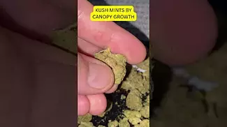 UK MEDICAL | KUSH MINTS T28% | CANOPY GROWTH #420community #medicalcannabis #ukmedicine #420 #cbpm