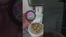 Eazypax420 Video Thumbnail