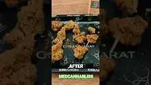 MedCannaBliss Video Thumbnail