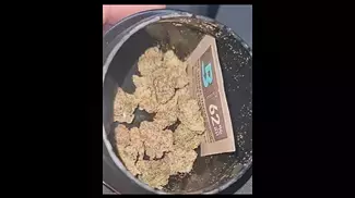 Big Narstie Medical Glitter bomb quick review in comments #medical #prescription #weed #420 #bud #yt