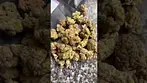 Ips pharma grape galena sweet/sour grapes nice #cannabiscommunity #420 #medicated #medicalcannabis