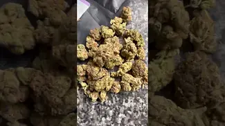 Ips pharma grape galena sweet/sour grapes nice #cannabiscommunity #420 #medicated #medicalcannabis