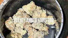 BabyzBudz Video Thumbnail