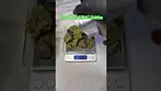 Green Karat: JMO Skittlez (Pack opening & Weigh)