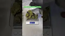 Review Budd Video Thumbnail