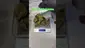 Video Thumbnail: Review Budd