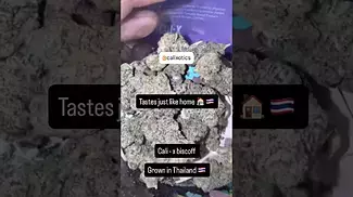 Cali-X biscotti uk medical