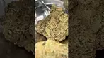 Pavé S1 by Green Karat medical cannabis first look! #420 #ukcannabis #medicalcannabis #420uk