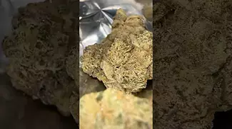Pavé S1 by Green Karat medical cannabis first look! #420 #ukcannabis #medicalcannabis #420uk