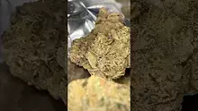 High Jack Video Thumbnail