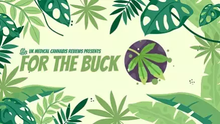 For the Buck Video Thumbnail