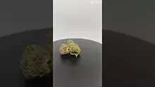 HerbGaming Video Thumbnail