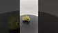 Video Thumbnail: HerbGaming