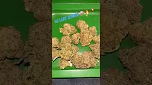 Bajan Video Thumbnail