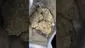 Video Thumbnail: High Jack