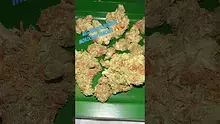 Bajan Video Thumbnail