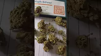 Curaleaf - High Silver (Super Silver Haze)(UK Medical Cannabis Prescription)