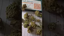 ScottiDunCanna Video Thumbnail