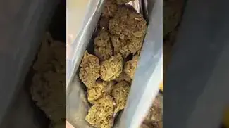 mac deluxe t30 by soma og #medicalcannabis