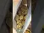 Video Thumbnail: Mary Jane Media 420