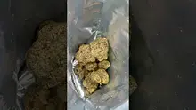 Legal Lettuce Video Thumbnail