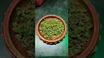 Cold Creek Kush 25%THC (smalls).. medical prescription cannabis.