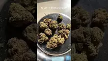 Pain Patient Video Thumbnail