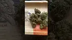 Uklegal #GoodSupplyReserve Emergen-C 27%thc1%cbd #medicated #mentalhealth #ukmeds