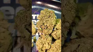 FOUR20 PHARMA ZEBRA COOKIES (UK PRESCRIPTION MEDICATION)