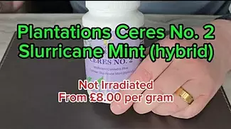 Plantations Ceres No. 2 T25 Slurricane Mint. First Impressions