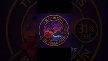 Wakey Wakey Video Thumbnail