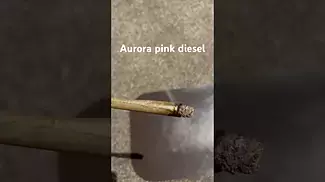 Aurora T27 pink diesel burn