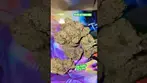 Cap Junky  #cannabiscommunity #medicalcannabis #weedchannel #420 #medical #medicalweed #montu #high