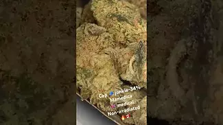 CAP JUNKI-Mamedica medical 34%thc