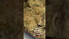 Greenzo Video Thumbnail