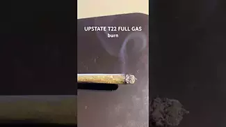 UPSTATE T22 FULL GAS - burn