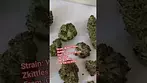 Watermelon Zkittles from Common Roots UK Medical Cannabis
