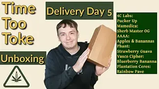 Delivery Day 5 - Banana Bonanza #cannabisreview #medicalcannabis