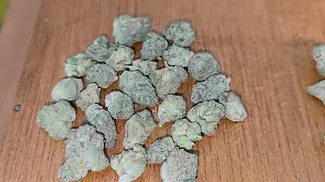 PHANT - Strawberry Guava (SMALLS) T22