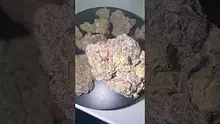 Mr. Green Scriptz Video Thumbnail
