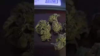 UK Medical Cannabis - Lavender Cake - Quick Review