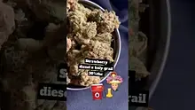 CannaTEE Video Thumbnail