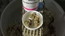 420Medical Video Thumbnail