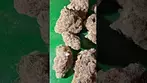 Big Narstie medical frosted pancakes  #uk #medical #patient #flowers #youtubeshorts